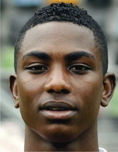 Eljero  Elia